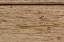 Cherry Buckskin Appaloosa Oak Peppercorn