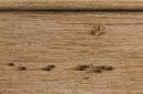 Knotty Alder Buckskin Appaloosa Oak Peppercorn